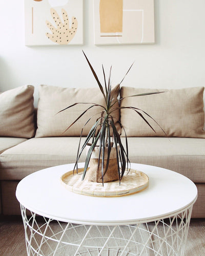 Bamboo Flat Basket 12" | Olive & Iris