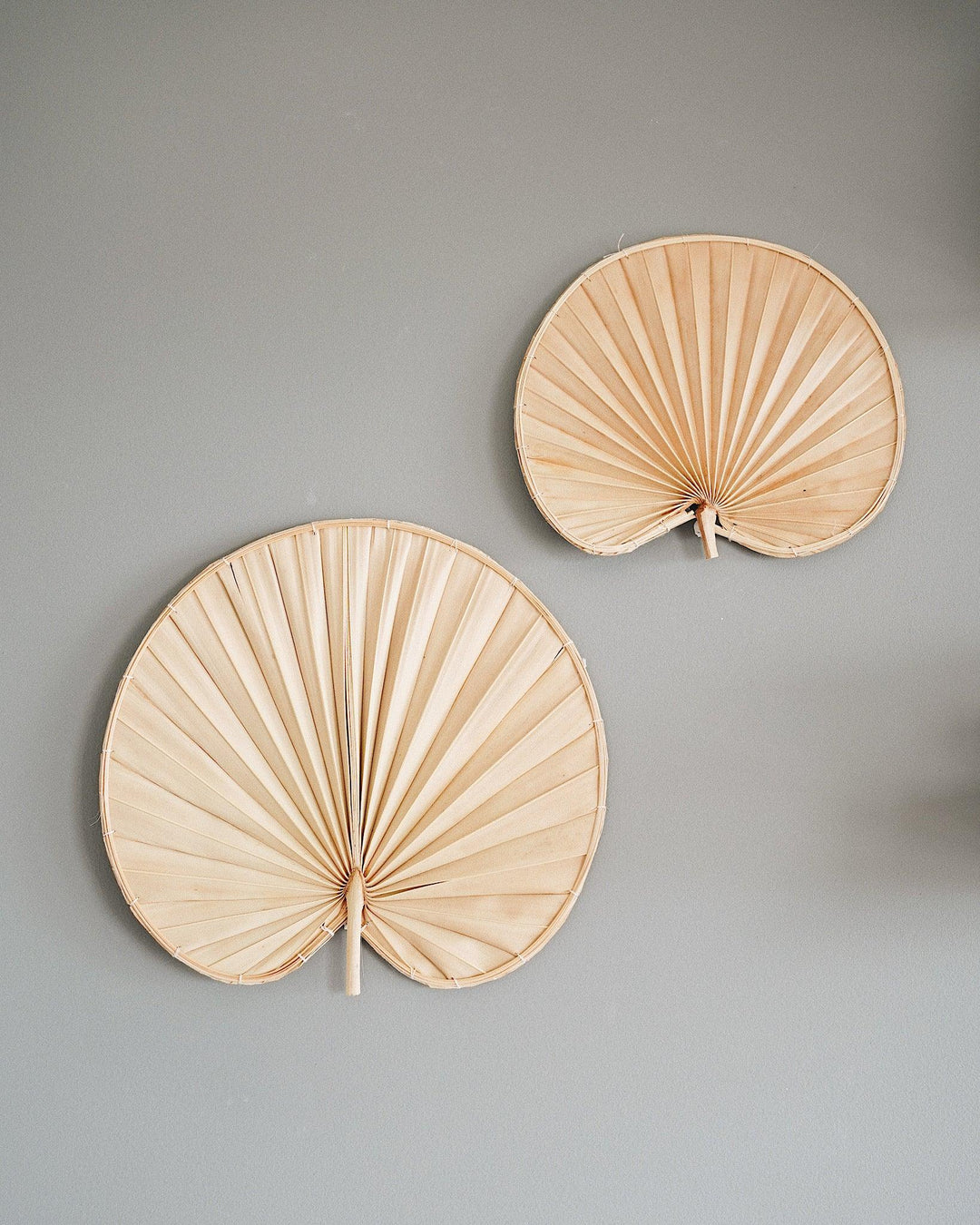 Palm Leaf Wall Art | Olive & Iris